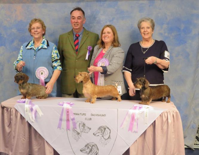 Miniature Dachshund Club
