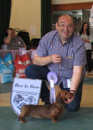 dachshund best in show